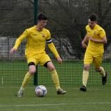 WFCAcad-21-H2-Royston-18th-March-2017-Modified-from-D750-19.JPG