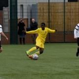 WFCAcad-21-H2-Royston-18th-March-2017-Modified-from-D750-244.JPG