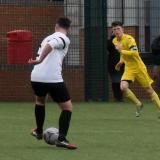 WFCAcad-21-H2-Royston-18th-March-2017-Modified-from-D750-258.JPG