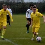 WFCAcad-21-H2-Royston-18th-March-2017-Modified-from-D750-86.JPG